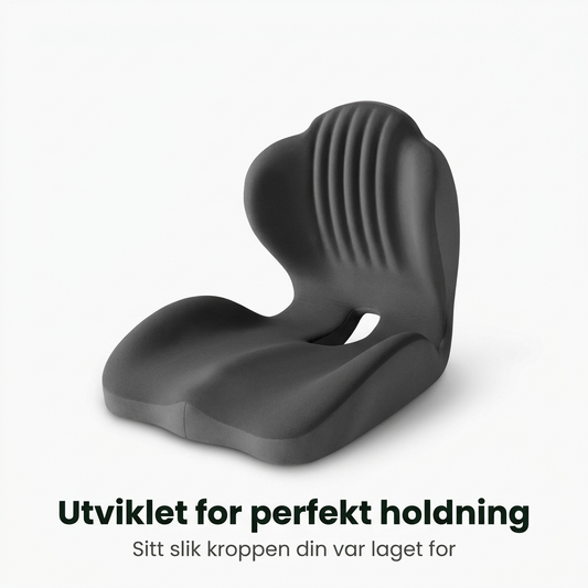 SpinaSit - Ergonomisk Sittepute med Ryggstøtte